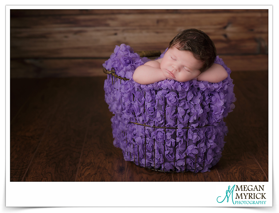 Pooler-Newborn-Photographer