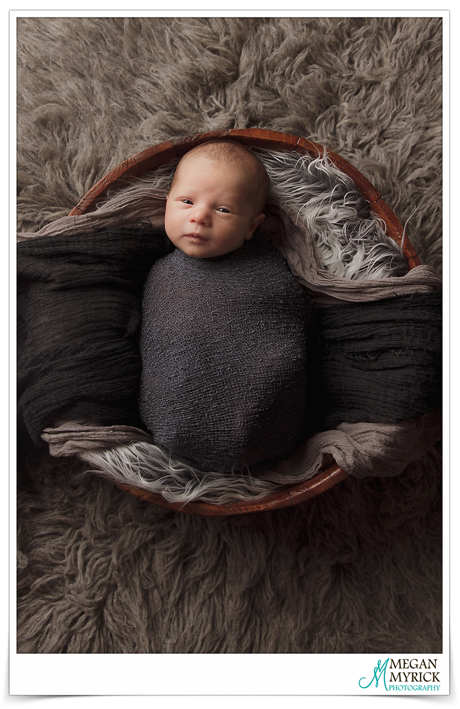 Pooler Newborn Photographer 1